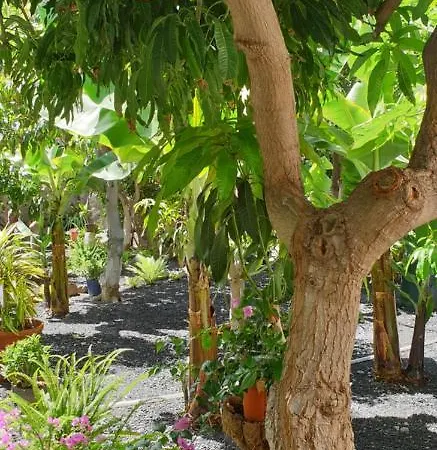 Borbolan Y La Roseta 公寓